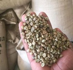Arabica Coffee Beans – Premium Grade for sell at affordable rates  – product photo 3, product detail gallery