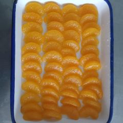 Refreshing Frozen Orange Segments for Yogurt and Ice Cream Topping - Image 3