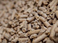 Wood Pellets 3.5mm Stick Shape BSL Approved 15kg Bags 690kg/m Density 4500J Calory Cooking Fuel France 99% Ash - Image 1