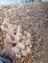 Turmeric Powder – product photo 3, product detail gallery
