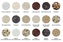 Premium Thai Rice - Image 3