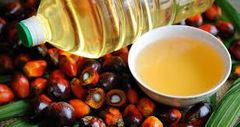 Refined Palm Oil – product photo 1, product detail gallery