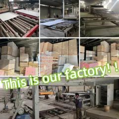 Chinese Cheap Custom Ceiling Grids T-Grid Gypsum T-Bar Ceiling System T-Bar Suspended Ceiling Grid Galvanize Drop Ceiling Grid Components Manufacturer - Image 6