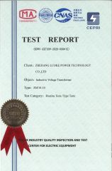TEST REPORT certificate from Zhejiang Luoke Power Technology Co. Ltd
