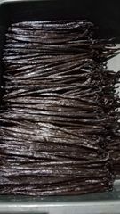 Vanilla Beans – product photo 1, product detail gallery