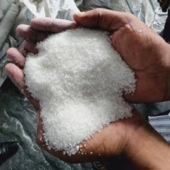 Brazilian Sugar Suppliers - Image 1