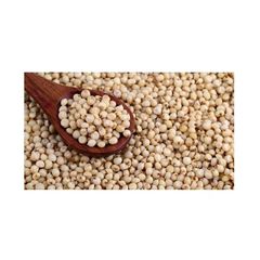 Wholesale sorghum grains bulk supply for food processing and milling - Image 2