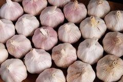 Herbs, Spices & Seasonings - Image 1