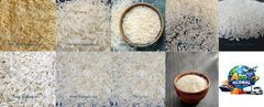 Rice and spices - Image 1