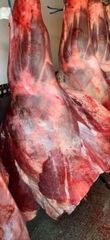 Meat | 100% Halal | No Water Injection | Export Quality | Wholesale Supplier | Global Export - Image 5