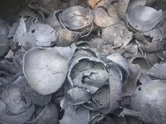 coconut shell charcoal - Image 3