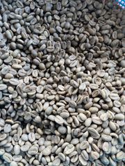 Greenbeans Wild Luwak Arabica Gayo - Aceh Indonesia – product photo 2, product detail gallery