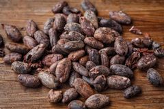 coca beans – product photo 4, product detail gallery