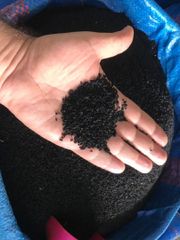 Premium Egyptian Nigella Seeds (Black Seed / Kalonji) - Image 2