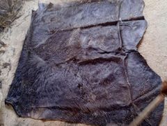 Wet Salted Buffalo Raw Hides - Image 2