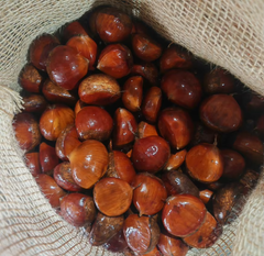 Fresh Chestnut - Image 1
