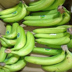 High Grade Fresh Cavendish Banana Bulk Export Fresh Crop For Wholesale Distributors And Importers - Image 3