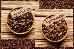 Premium Kenyan Arabica & Robusta Coffee Beans for International Export High-Quality Arabica and Robusta Coffee Beans Sourced from Kenya for Export Export-Grade Kenyan Arabica & Robusta Green Coffee Beans Authentic Kenyan Arabica and Robusta Coffee Beans for Global Markets Freshly Sourced Arabica & Robusta Coffee Beans from Kenya – Export Quality - Image 1