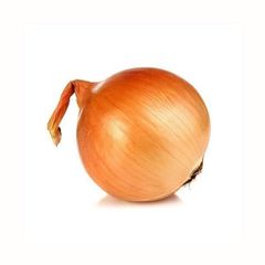 Fresh onion supplied in large lots for wholesale buyers with steady availability – product photo 4, product detail gallery