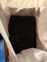 Canadian IQF Wild Blueberry - Image 2