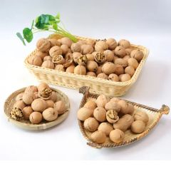 Xinjiang Walnut Kernel Light and Extra Light 10kg/Pk Origin China Storage Shade Trademark sugo Processing Raw HS Code - Image 3