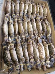 Blue Swimming crab - Image 1