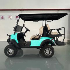 Cheap Custom Golf Cart Electric Golf Buggy Golf Equipment Seats 3-4 OEM Support Origin China Power 600-1700W Model NO. WT 2+2 - Image 3