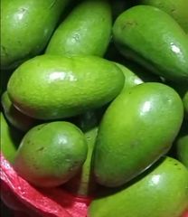 Fresh Avocado – product photo 3, product detail gallery