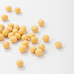 Best Quality Premium Natural and Non-GMO Yellow Soybean Seeds Soya Bean Soy Beans in Bulk at Cheap Price - Image 2