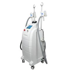 Button Screen Vertical Cryolipolysis Fat Loss Body Shaping Machine - Image 2