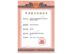 First Prize of Provincial Science and Technology Progress Award certificate from Hyvitech New Energy Technology Co., Ltd.