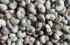 RAW CASHEW NUTS – product photo 1, product detail gallery