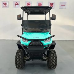 Cheap Custom Golf Cart Electric Golf Buggy Golf Equipment Seats 3-4 OEM Support Origin China Power 600-1700W Model NO. WT 2+2 - Image 4