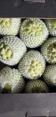 Custard Apple - Image 4