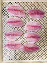 HACCP Frozen Tilapia Fillet Fish Type Fish Origin China Model NO. TILAPIA Trademark primega Shelf Life >12 Months Saving Condition - Image 3