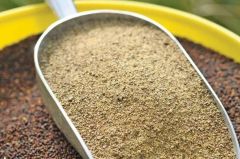 Rapeseed Meal and Canola Meal - Image 6