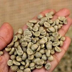 Cocoa beans and coffee beans - Image 1