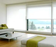 Transparent Horizontal Roller Blinds Kind Slat Origin China Style Modern Model NO. RB-009 Open Type Manual Trademark - Image 1