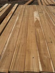 28 year old Costa Rica plantation Teak. - Image 3