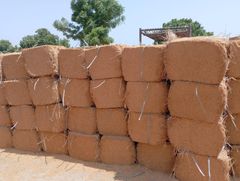 Rhodes Grass, Wheat Straw, Alfalfa hay & Silage - Image 2