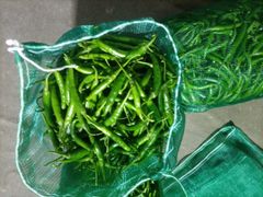 Green chilli bulk - Image 1
