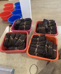 Madagascar Bourbon Vanilla Beans – Grade A - B - Image 1
