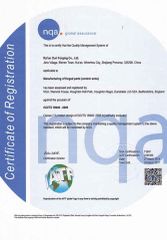 ISO/TS16949 2009 certificate from Ruian Ouri I/E Trade Co., Ltd.