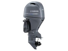 Boat Motors
