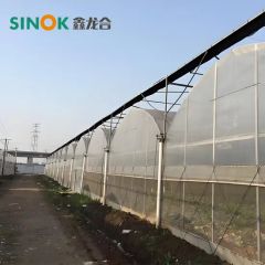 Multi Span Plastic Greenhouse with Hydroponics Planting System/Drip Irrigation System - Image 3