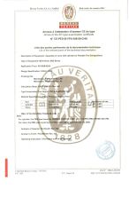 CE certificate from Safety Plus Industrial Co., Ltd.