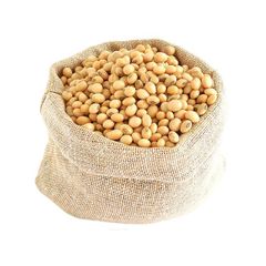 Bulk supply of soybeans ready for sale with premium quality and high protein content - Image 2