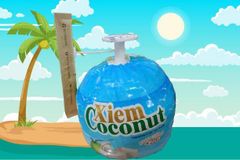 Easy open coconut + plastic straw - Image 2