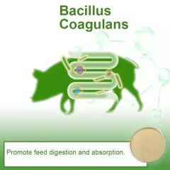 Effective Microorganisms Probiotics Bacillus Coagulans Powder - Image 6