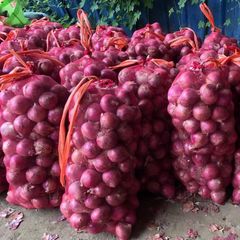 Fresh Red Onions - Image 2